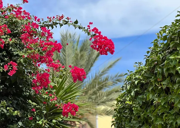 Casa Vamos Buganvilla - Private Pool & Rooftop Terrace